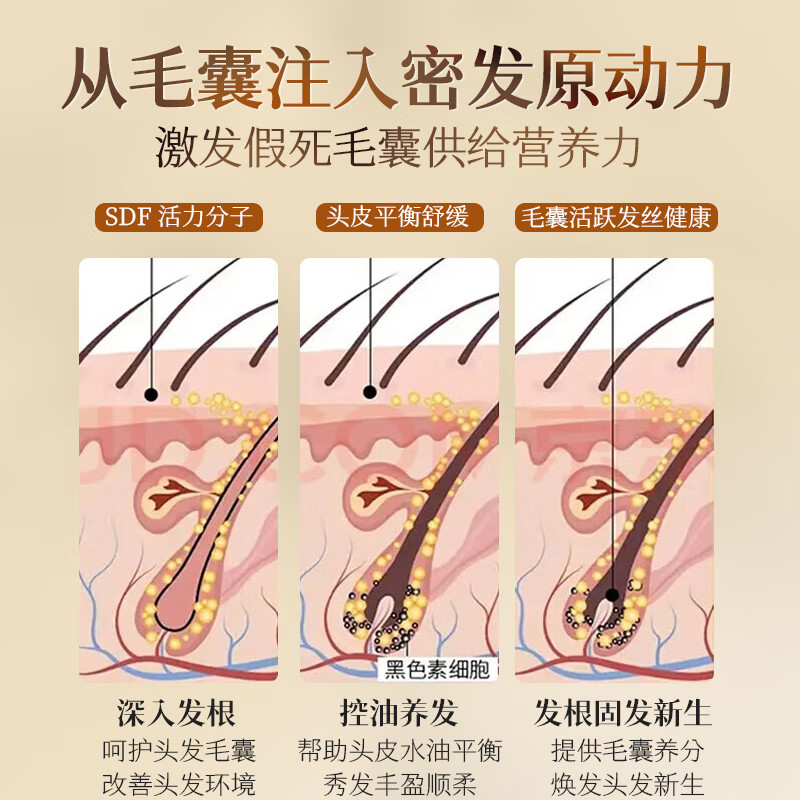 Tongrentang Anti-hair Loss and Growth Shampoo Ginger Hair Growth and Densification Hair Strengthening Hair Anti-Hair Loss Arborvitae Leaf Shampoo No. 1 on the gold list