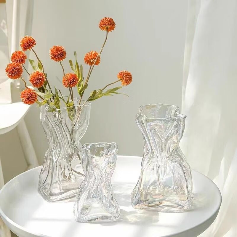 IXJSN high sense simple creative irregular vase transparent glass living room desktop flower arrangement water support ins decorative ornaments special-shaped money bag transparent