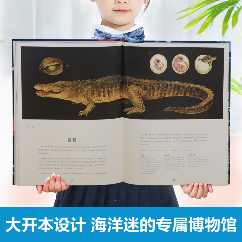 Museum of Miracles Series Ocean Museum Fun 7-year-old + Children's Popular Science Encyclopedia Primary School Students Extracurricular Reading Book Revealing the Secrets of Marine Animals