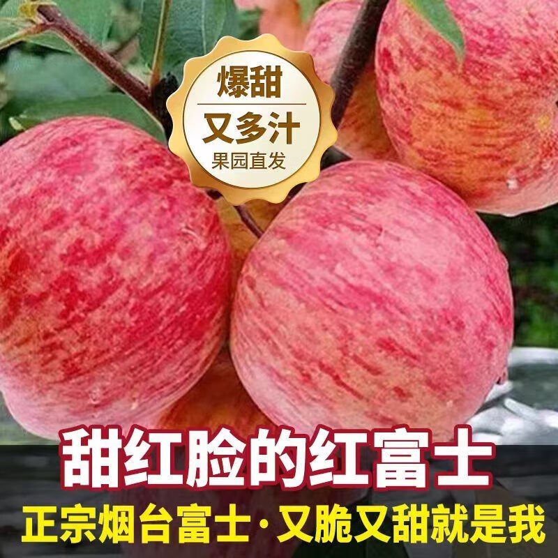 Crisp and sweet red Fuji apples, Shandong Yantai Qixia ugly apples, fresh fruit, whole box, 5 catties in box, sweet and medium-sized fruit