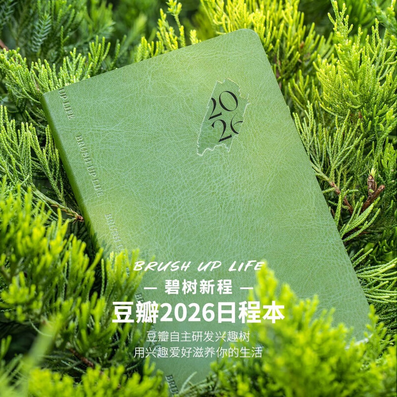 Douban 2026 Schedule - Efficiency Manual 365-day Planner Time Management Planner Daily Diary Notepad One Page a Day Self-Discipline Check-in