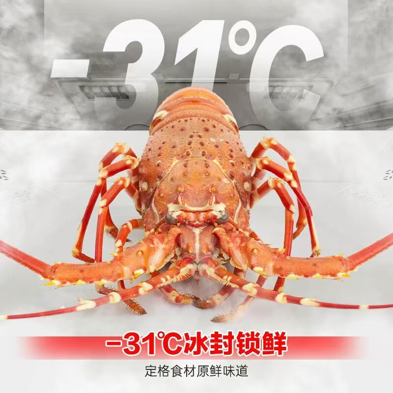 Ronshen grade machine | Ronshen 507L French flat-embedded zero-embedded dual-system dual-cycle IDP active sterilization and purification refrigerator BCD-507E30FZLAD is almost flawless