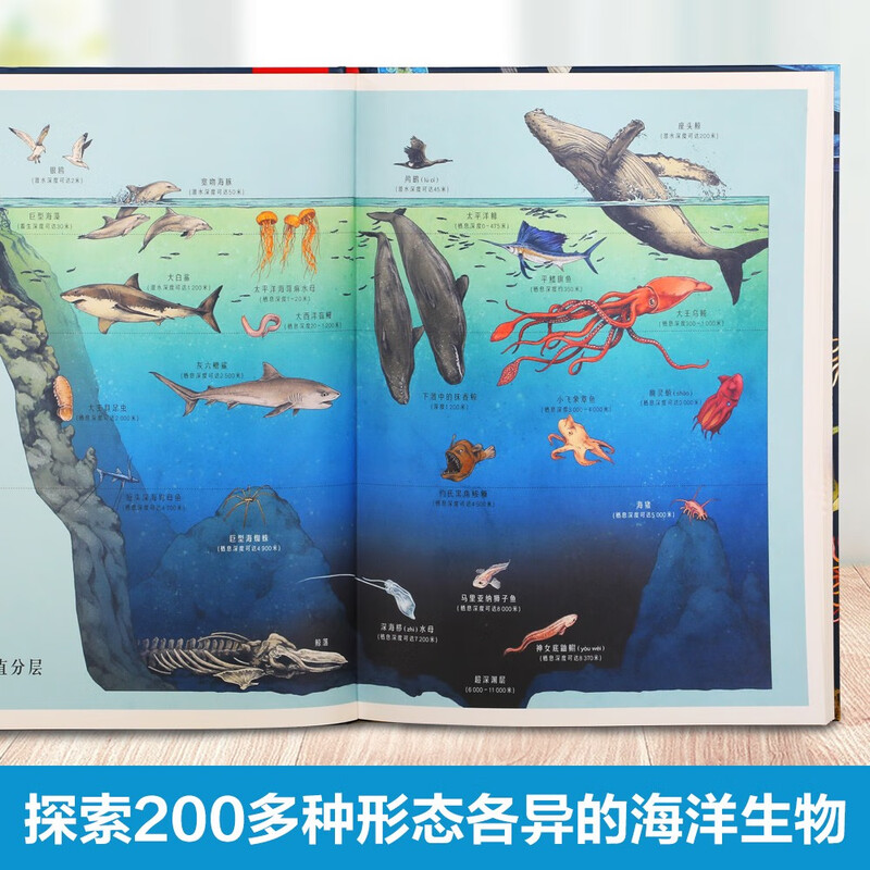 Museum of Miracles Series Ocean Museum Fun 7-year-old + Children's Popular Science Encyclopedia Primary School Students Extracurricular Reading Book Revealing the Secrets of Marine Animals