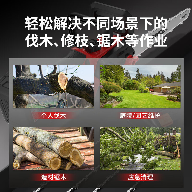 Dayi lithium chainsaw logging saw 12-inch electric chain saw household handheld Pawit RCH-A3/01-300 outdoor pruning