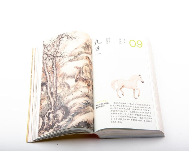 Slightly Flawed Forbidden City Calendar Youth Edition 2026 Horse to Success