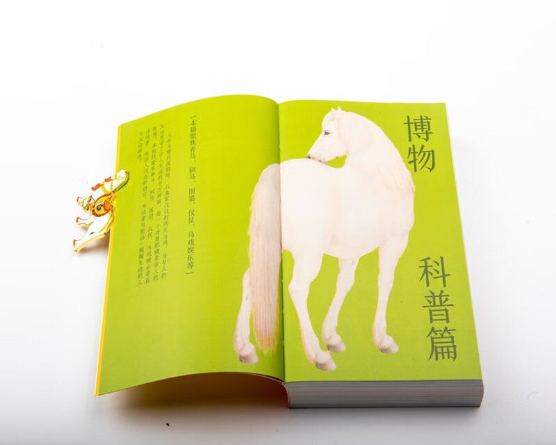 Slightly Flawed Forbidden City Calendar Youth Edition 2026 Horse to Success