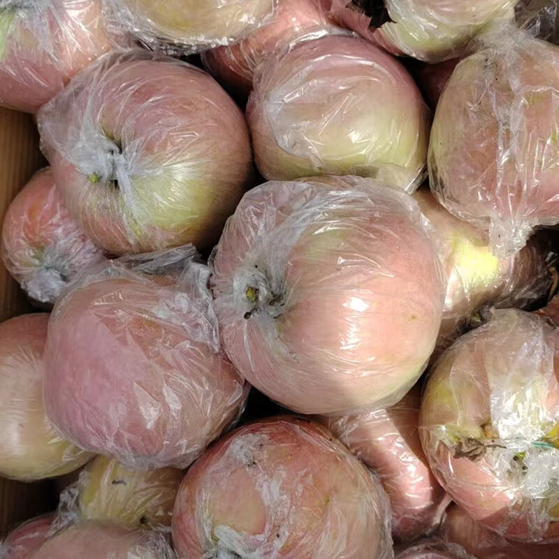 Jingxiansheng Lingbao Fuji Apple, net weight 4.5kg, single fruit 80mm+, fresh fruit, straight from the source