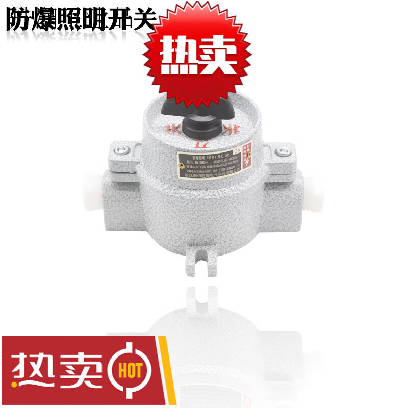 Explosion-proof lighting switch SW-10/220V380V explosion-proof control switch thickened transfer switch IIBIIC SW-10/380V thickened version