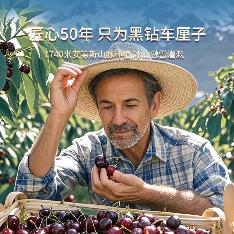 Fourth Uncle Fruits and Vegetables Chilean Cherries JD-Next Day Delivery to Many Places Cherries 3j4j Grade New Year’s Gift Box Fruit Gift Box 5kg (net weight) The most cost-effective Sharing Gift Box Great Satisfaction Super Juicy 3J Black Diamond Big Mac 30-32mm