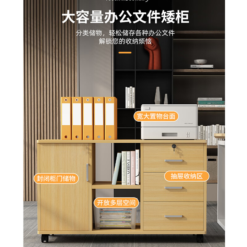 Olin European style file cabinet office under desk storage cabinet low cabinet with lock file cabinet simple office cabinet small cabinet
