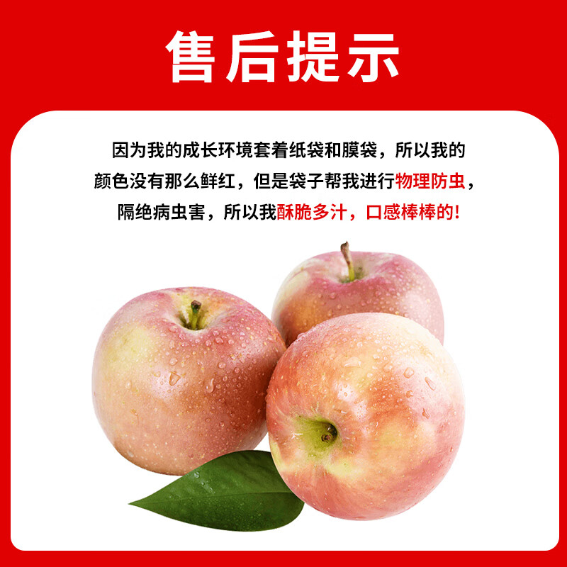 Jingxiansheng Shanxi Plateau Red Fuji Apple 8.5kg, single fruit 80-85mm, crispy and sweet mountain ugly apple, straight from the source