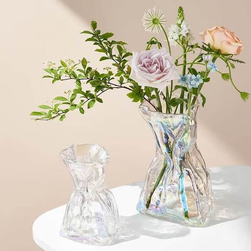 IXJSN high sense simple creative irregular vase transparent glass living room desktop flower arrangement water support ins decorative ornaments special-shaped money bag transparent