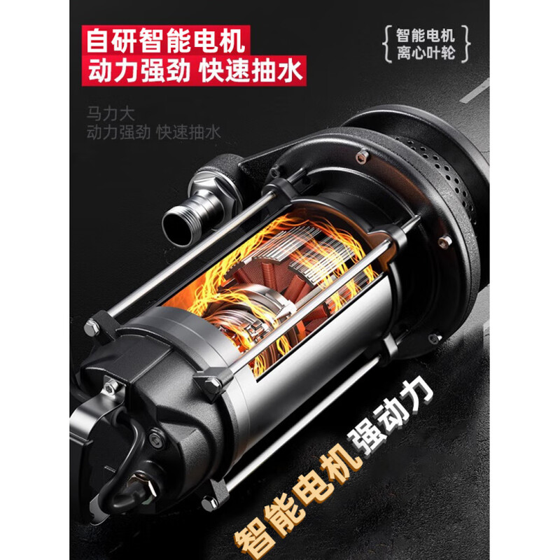 Delixi submersible pump 220V household small sewage pump high lift water pump large flow agricultural irrigation pump AC submersible pump 250 watts (1.5 tons 12 meters 1 inch) 220v