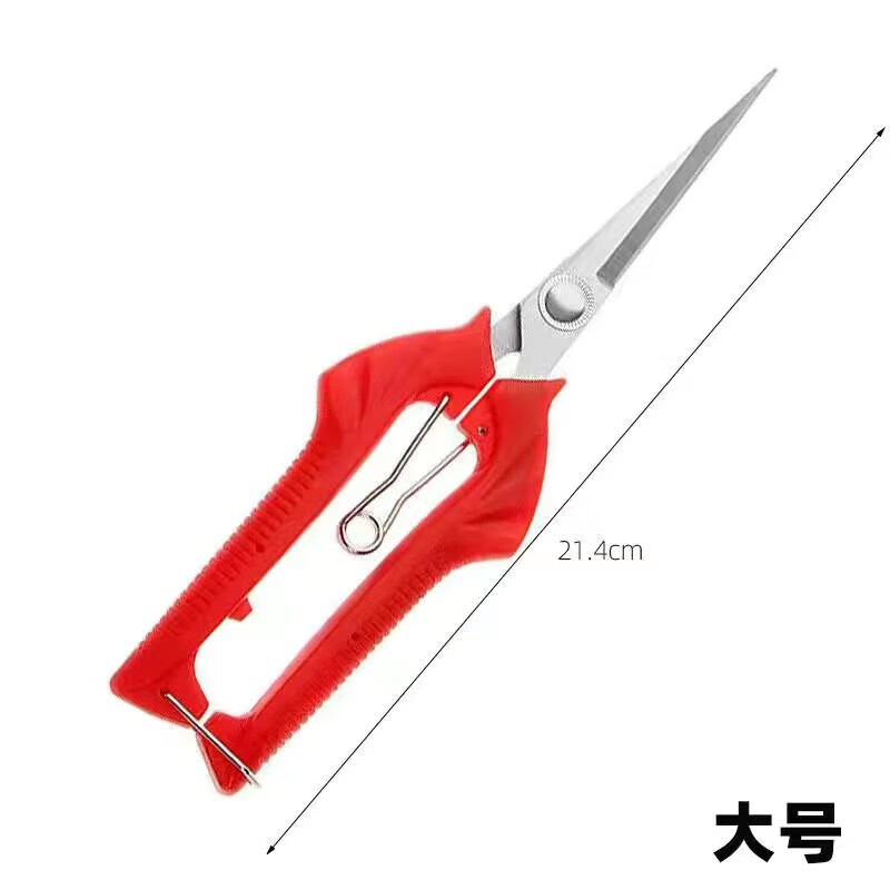 Thickened stainless steel fruit picking scissors elbow scissors for picking tomatoes and citrus scissors gardening pitaya pruning shears Stainless steel pruning scissors - large - 1 piece