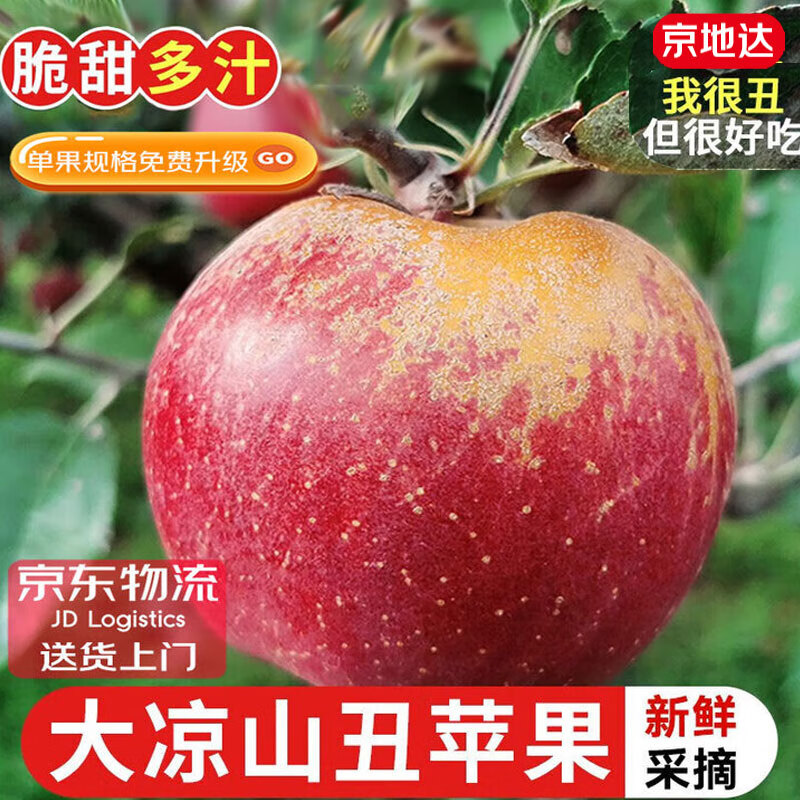 Jingdida Sichuan Daliangshan Ugly Apple 4.5kg single fruit 75mm+ fresh fruit direct from source with free shipping