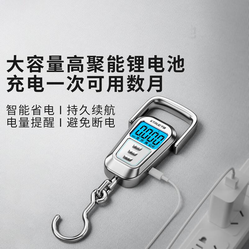 Qianque portable electronic scale 100 catties accurate commercial household food weighing portable spring fish scale kitchen charging