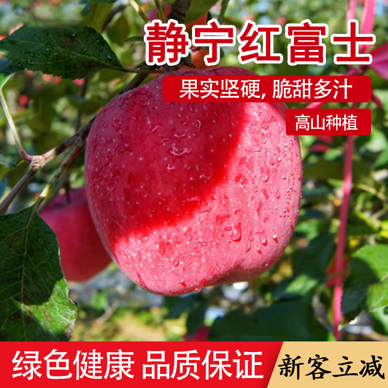 SF Gansu Tianshui Jingning apple 9 pounds freshly picked crisp sweet red Fuji unwaxed fresh fruit rock candy heart L5 9 pounds medium fruit SF freshly picked/crisp sweet and juicy
