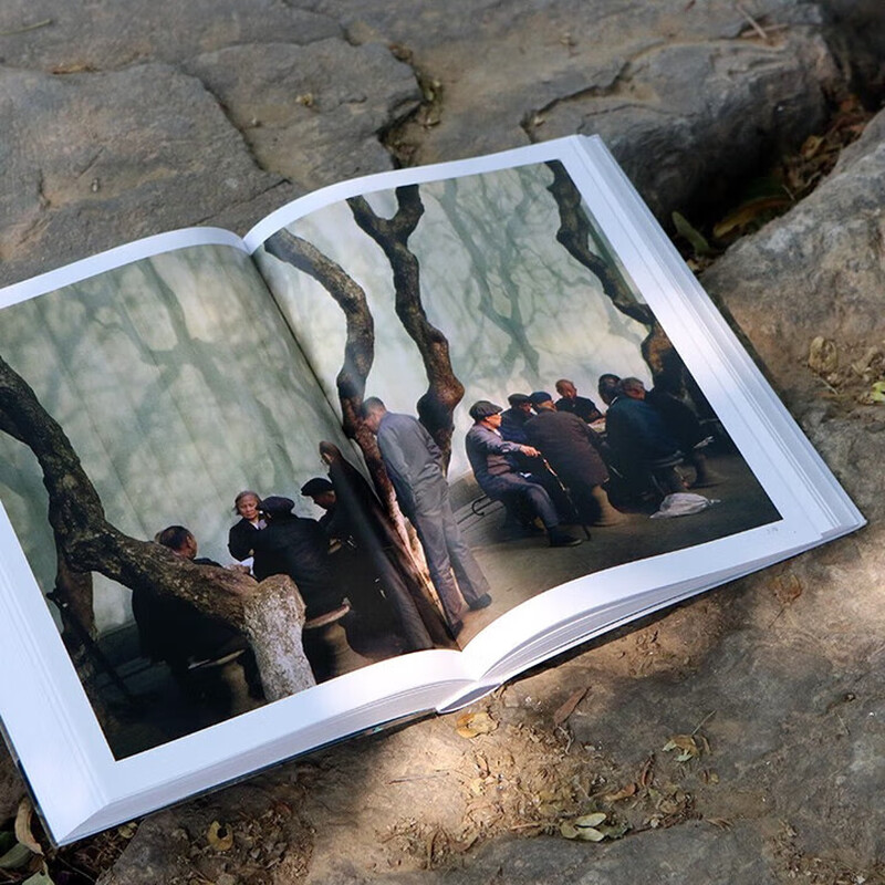 China in Early Spring (Softcover Edition)