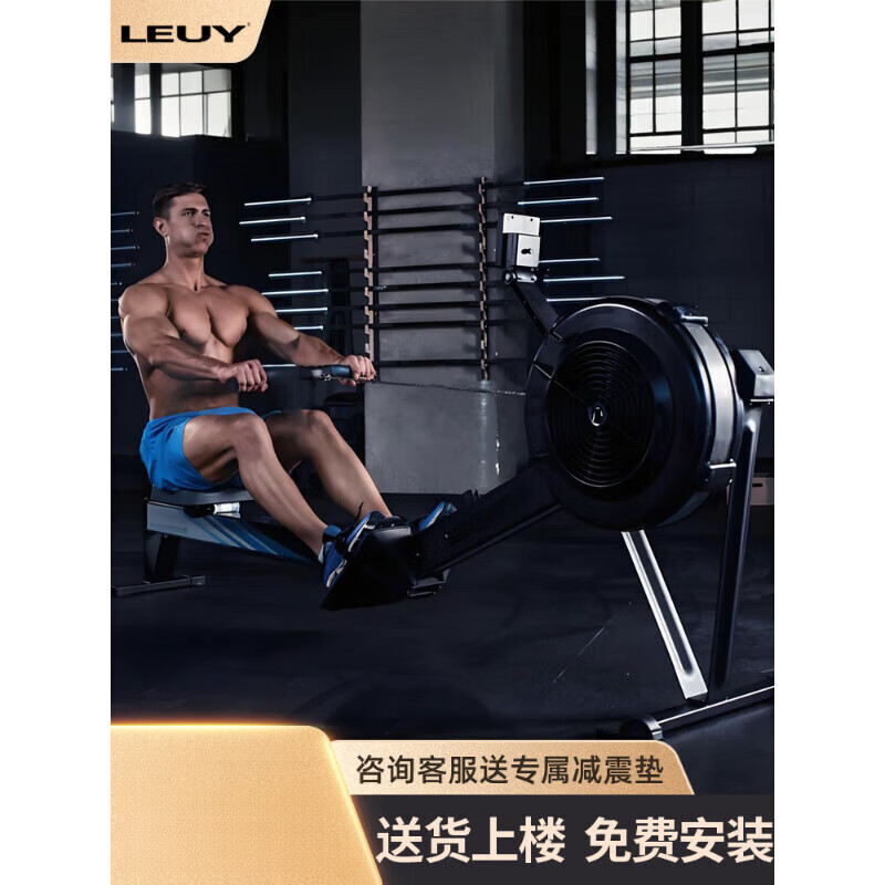 LEUY double resistance wind resistance rowing machine home fitness folding sports equipment rowing ergometer rowing machine H368 model - white - stainless steel guide rail - personal training course