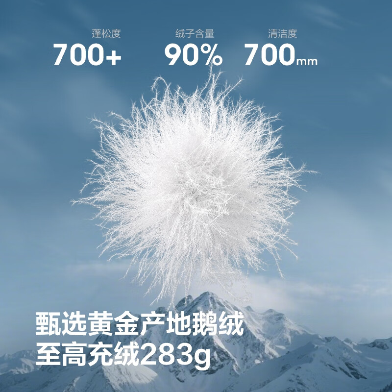 Bosideng 25-year-old extreme cold goose down women's winter thickened hooded mid-length warm shopping mall down jacket