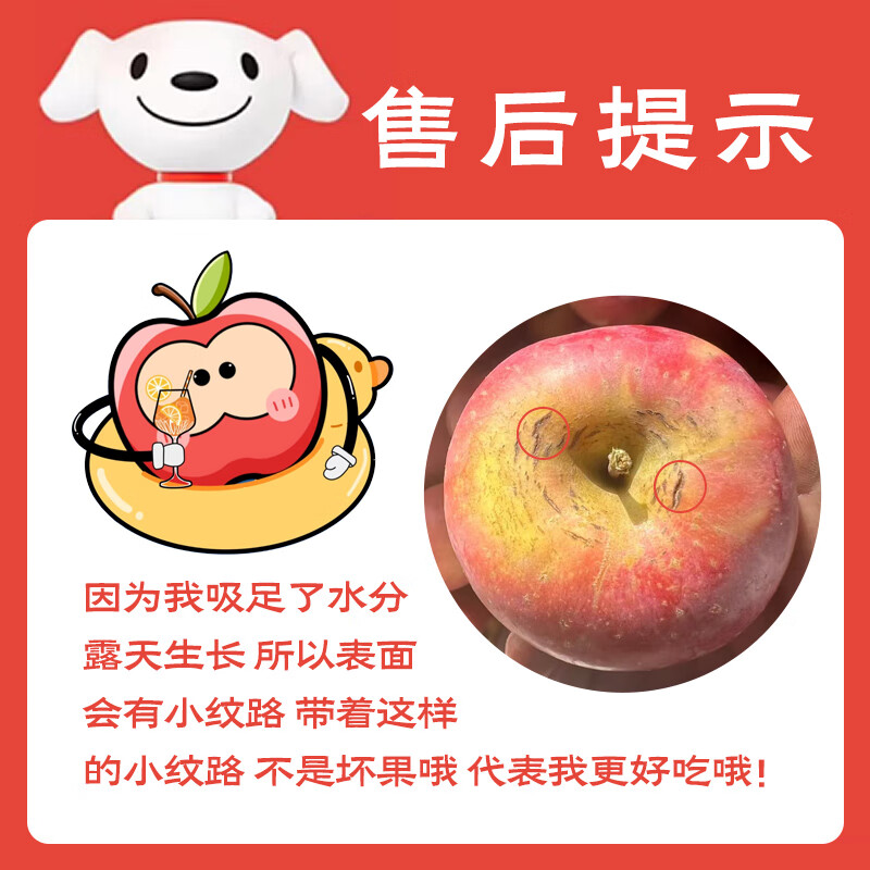 Jingxiansheng Lingbao Fuji Apple, net weight 4.5kg, single fruit 80mm+, fresh fruit, straight from the source