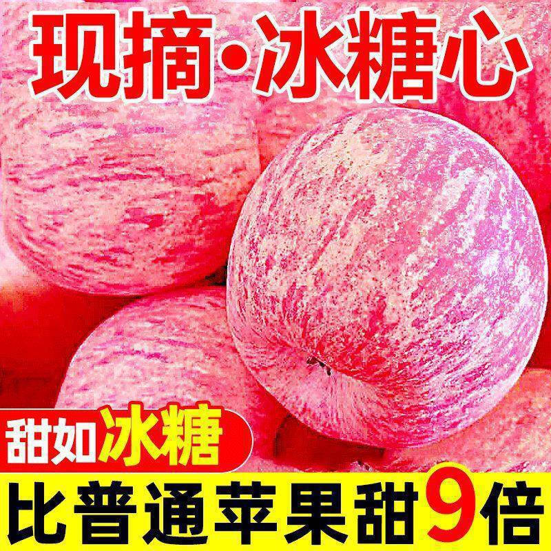 West Shaanxi Yan'an Luochuan Red Fuji 10 catties packed apple fresh fruit crisp sweet seasonal fruit seasonal fresh fruit with box 5 catties large fruit