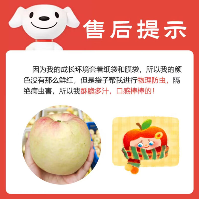 Jingxiansheng Lingbao Fuji Apple, net weight 4.5kg, single fruit 80mm+, fresh fruit, straight from the source