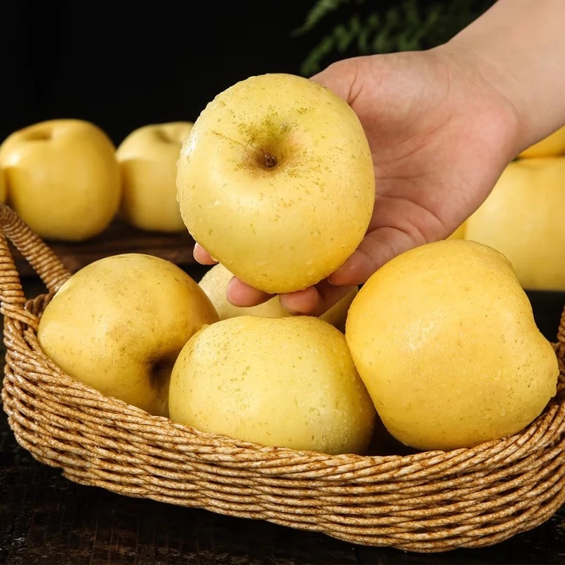 Beijing Fresh Shandong Cream Fuji Apple, net weight 5 pounds, single fruit 85-90mm, fresh fruit, direct shipping from the source, free shipping