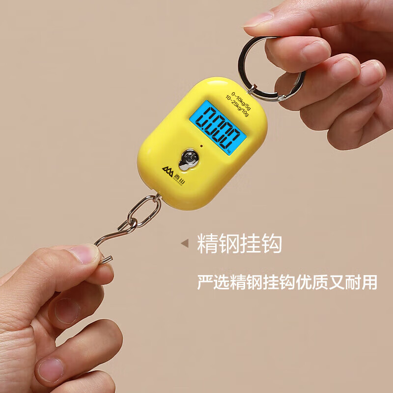 Xiangshan Portable Scale Electronic Scale Portable Scale Weighing Vegetables Express Crane Scale Mini Scale High-Precision Compact 25kg Rechargeable Model