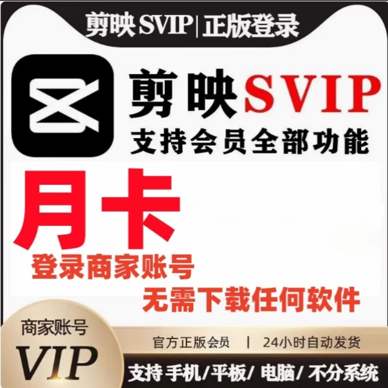 Silhouette svip permanent computer version member silhouette professional version member silhouette vip computer club software mobile svip scan code to use (three hours)