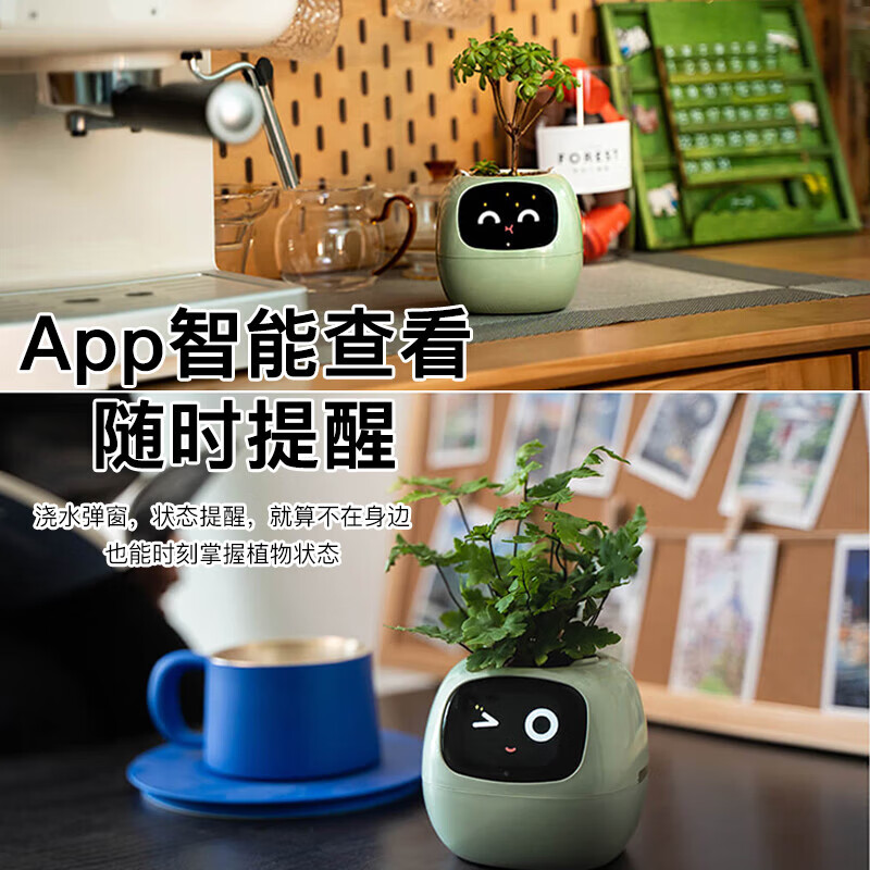 Ivy Emotional Intelligent Plant Cute Pet Intelligent Robot Flower Pot Plant Table with Trendy Ornaments Birthday Gift Retro Green Smart Flower Pot Happy Birthday Gift Set Ghostwritten Oil Painting Style Greeting Card