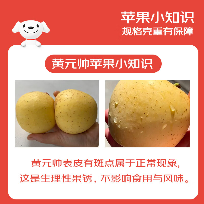 Jingxiansheng Shandong Yantai Huang Yuanshuai apples are sour and sweet. Net weight is 8.5 pounds. Single fruit is 75-80mm. Directly shipped from the source. Free shipping.