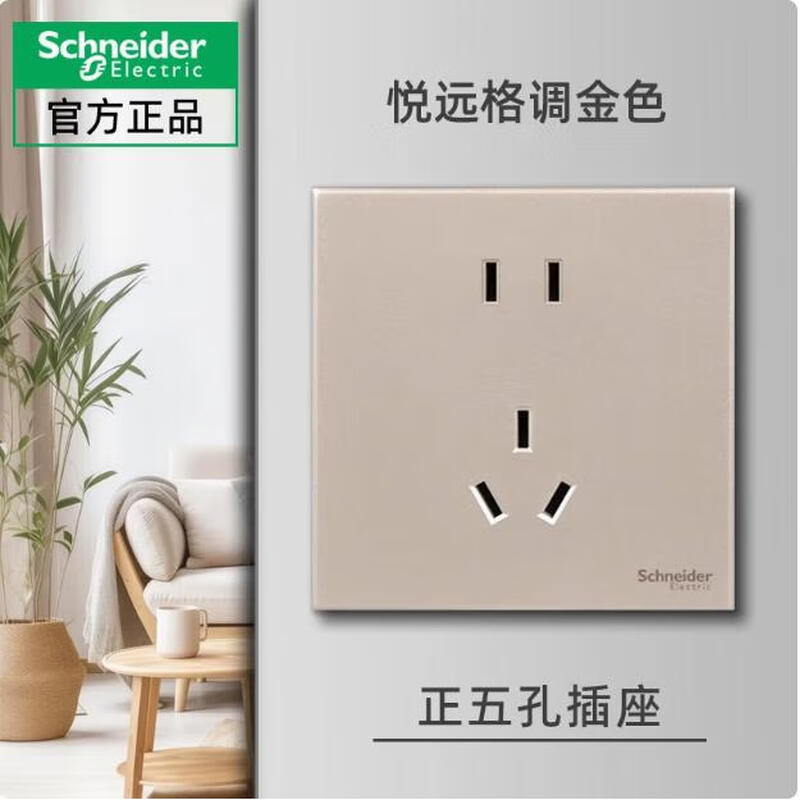 Schneider switch socket Yueyuan series style gold 86 type household frameless one open two or three plug concealed panel one open five holes 1 piece