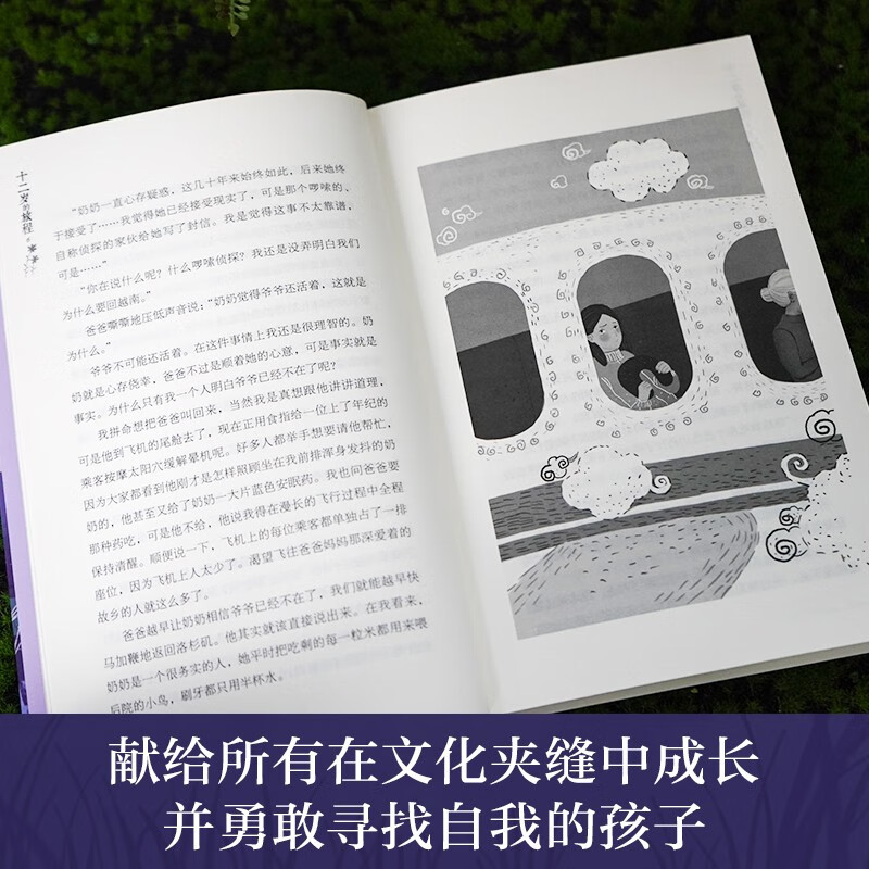 Ivy International Award-winning novel The Journey of Twelve Years Old (New York Times Outstanding Children's Book Award), root-seeking, independence, family love and other themes. Must-read for elementary and middle schools in grades 3, 4, 5 and 6. International Children's Literature Award classics extracurricular reading that affects children's lives.