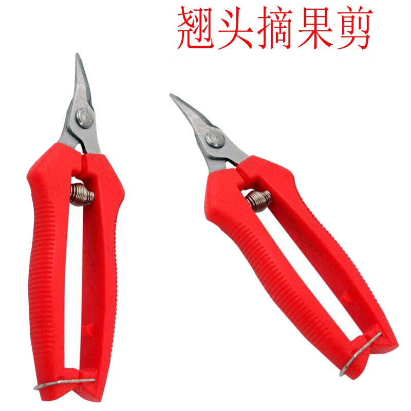 Thickened stainless steel fruit picking scissors elbow scissors for picking tomatoes and citrus scissors gardening pitaya pruning shears Stainless steel pruning scissors - large - 1 piece
