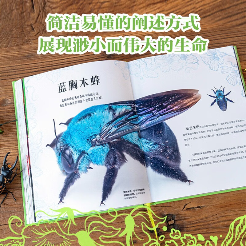 DK Collection Museum Series DK Extraordinary Insects by Jesse French 5 years old + children's popular science