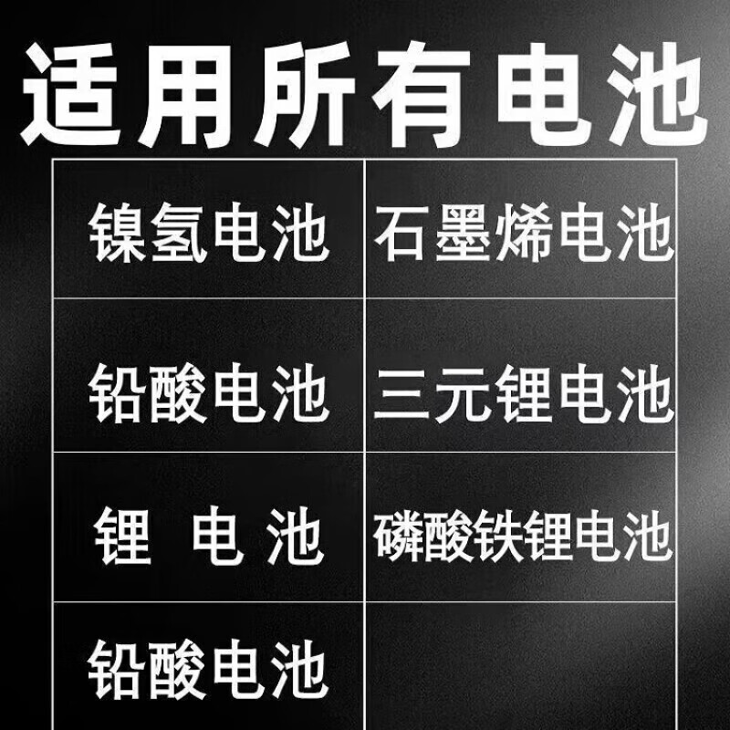 Imported from Germany, battery repairer, pulse repair, battery voltage stabilization, intelligent repairer, self-stop when full, extended range + speed, new two-in-one
