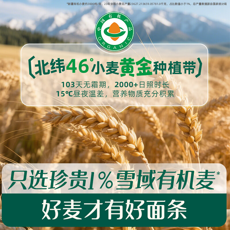 Engnice Organic Infant Noodles 200g Meat and Vegetables/Five Colors Random Delivery Baby Breakfast Noodles Procurement and Sales Laboratory Factory