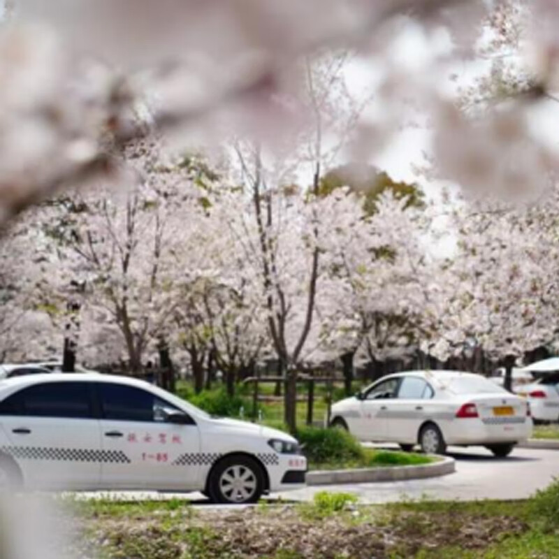 Shanghai Huamao Motor Vehicle Driver Training, Driving Learning, Driving License Test, Driving School Service, C1 Manual Transmission Full Weekly Class