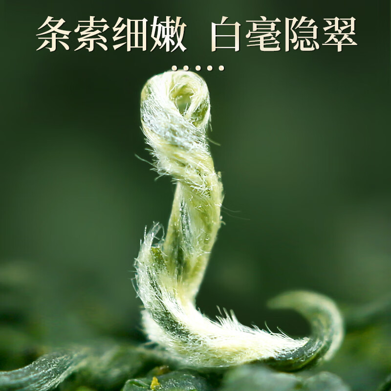 A cup of fragrant tea green tea Biluochun 500g 2025 new tea Mingqian New Year gift box for self-drinking tea bag