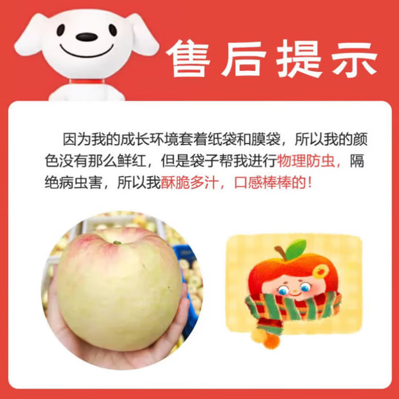 Xianhehuiyou domestic Fuji apple fresh fruit, the whole box is about 5.5-4.7 catties/net content 2000g