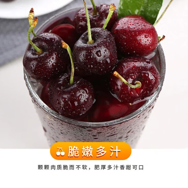 Chilean cherries in stock, freshly imported large cherry cherry holiday gift box, 5 catties (net weight), imported original box, small fruit XL, single fruit 24-26mm