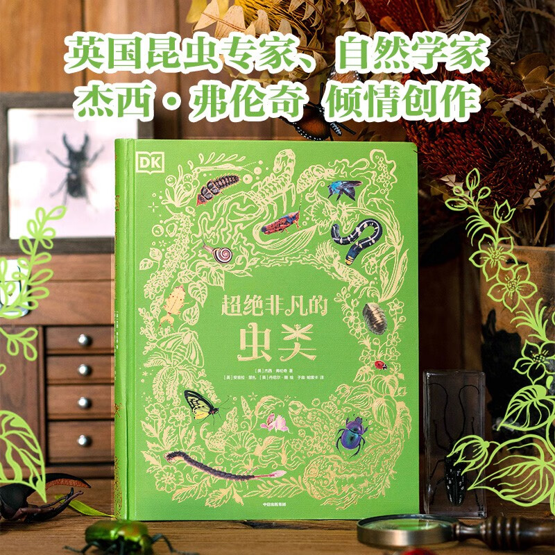 DK Collection Museum Series DK Extraordinary Insects by Jesse French 5 years old + children's popular science