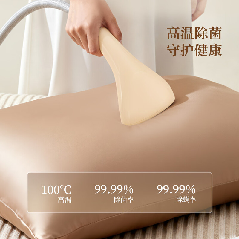 AUX vertical garment ironing machine 40g/min large steam 2.1L water tank household handheld ironing machine electric iron hanging ironing machine ironing artifact clothing store use 22AW288