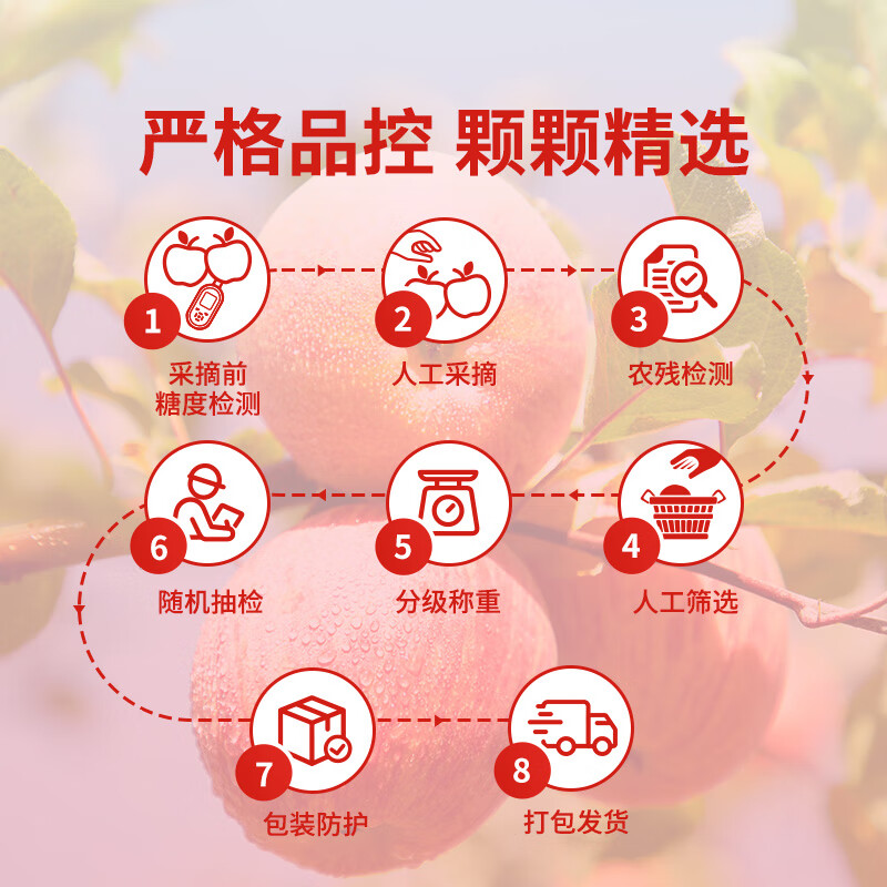 Oriental Selection Xinjiang Aksu Apple Rock Candy Heart Crisp, Sweet and Refreshing, Juicy Fresh Seasonal Fruit Bad Fruit Pack for New Year Goods, 5kg Pack of Large Fruits, Approximately 8-11 Pieces, Single Fruit 230g+