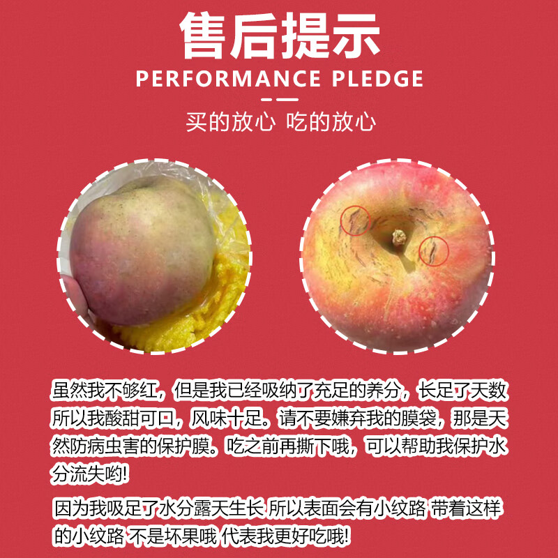 Authentic Shanxi Red Fuji Apple Fruit Crispy Sweet Ugly Apple Fresh Fruit Whole Box Gift Box 8.5 Jin 75mm