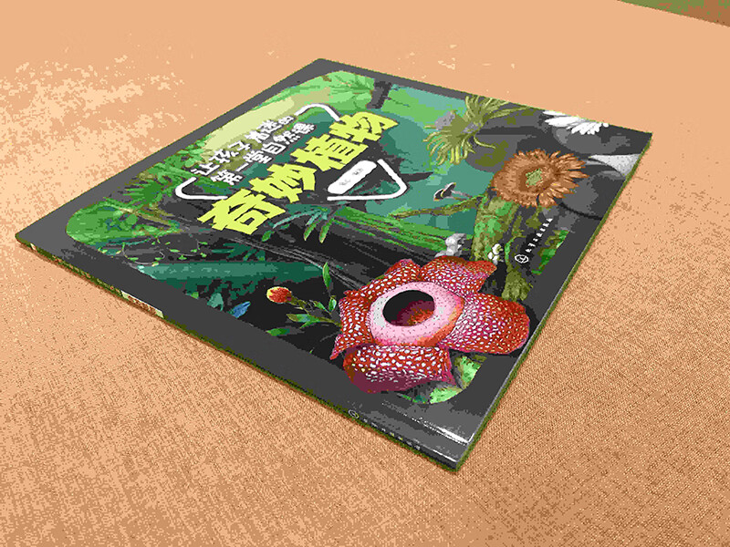 The first nature lesson that fascinates children Wonderful Plants