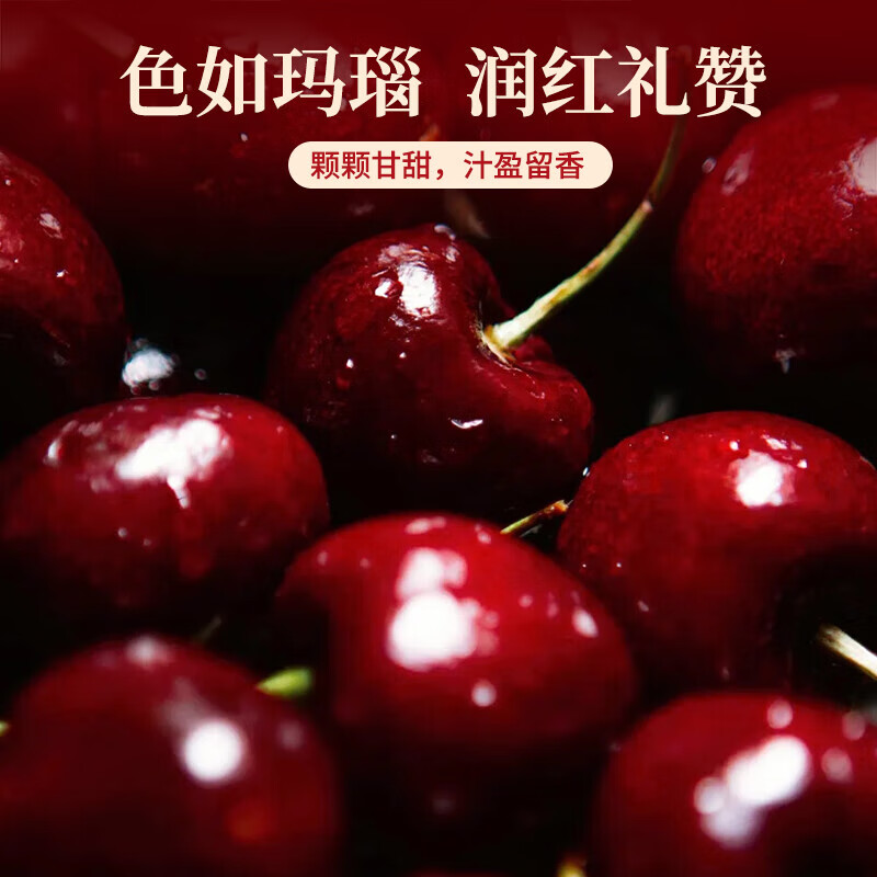Ziyi imported cherries from Chile JD/SF Express next-day delivery to multiple places 3J4J optional cherry fruit gift box 4 catties (net weight) 5 catties in box gift box gift selection gold diamond gift level 4J Super Big Mac 32-34mm