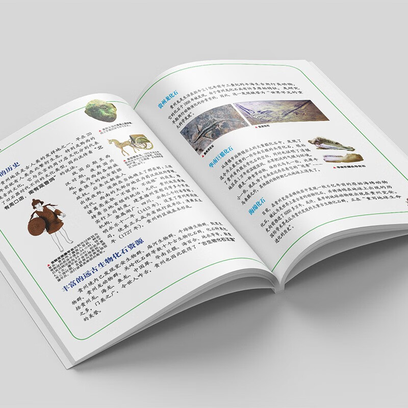 Greater China Treasure Hunt Series 20 Guizhou Treasure Hunt New Edition Children's Encyclopedia of Chinese Geography Popular Science Knowledge Comic Book, Children's Science Popularization, Human Geography, Comic Readings Summer Homework Summer Connection between Primary and Secondary Students Summer Summer Connection between Primary and Junior High School Students