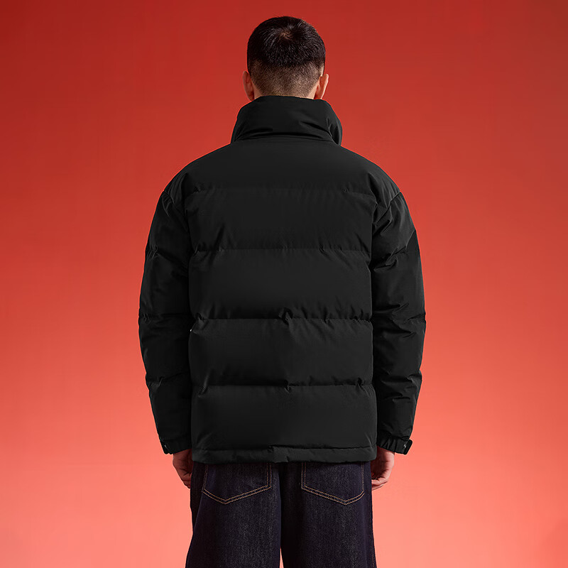 HLA Hailan House Down Jacket Men's 25 Year of the Horse New Year Series Stand Collar Jacket Men's Winter